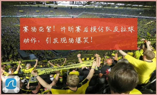 赛场花絮！许昕赛后模仿队友拉球动作，引发现场爆笑！